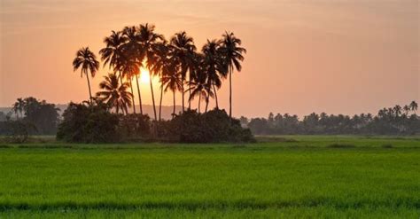 siolim tourist attractions.